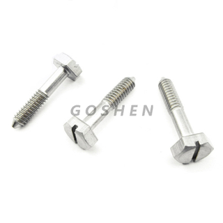 Stainless Steel 316l Hex Slotted Wood Screw